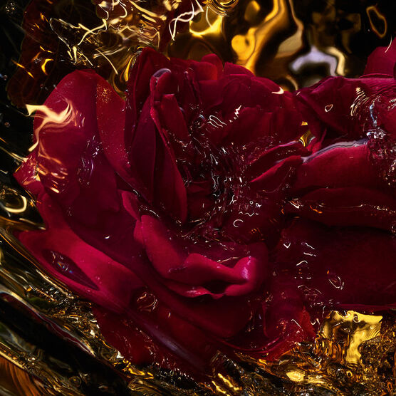 Perfume Guerlain Absolus Allegoria Rose Amira Unissex Eau de Parfum