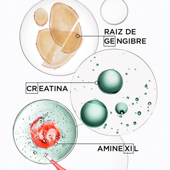 GENESIS HOMME BAIN DE FORCE QUOTIDIEN